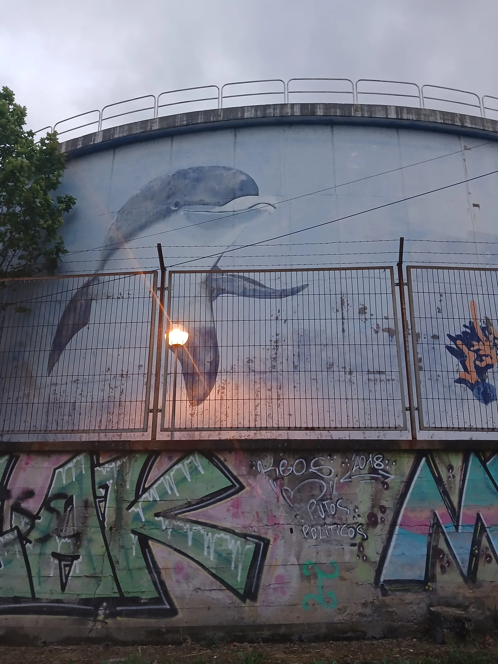 Delfin