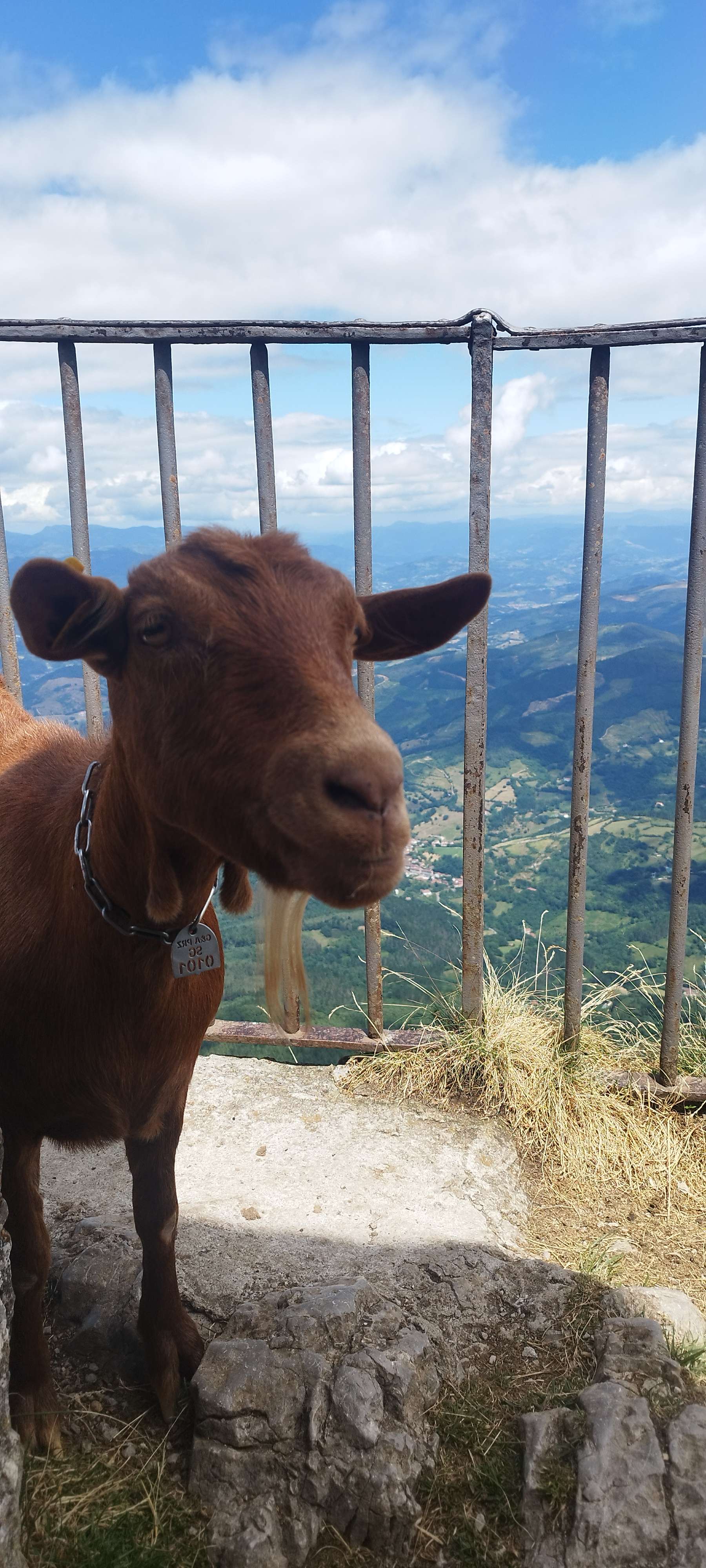 Cima del Aizkorri