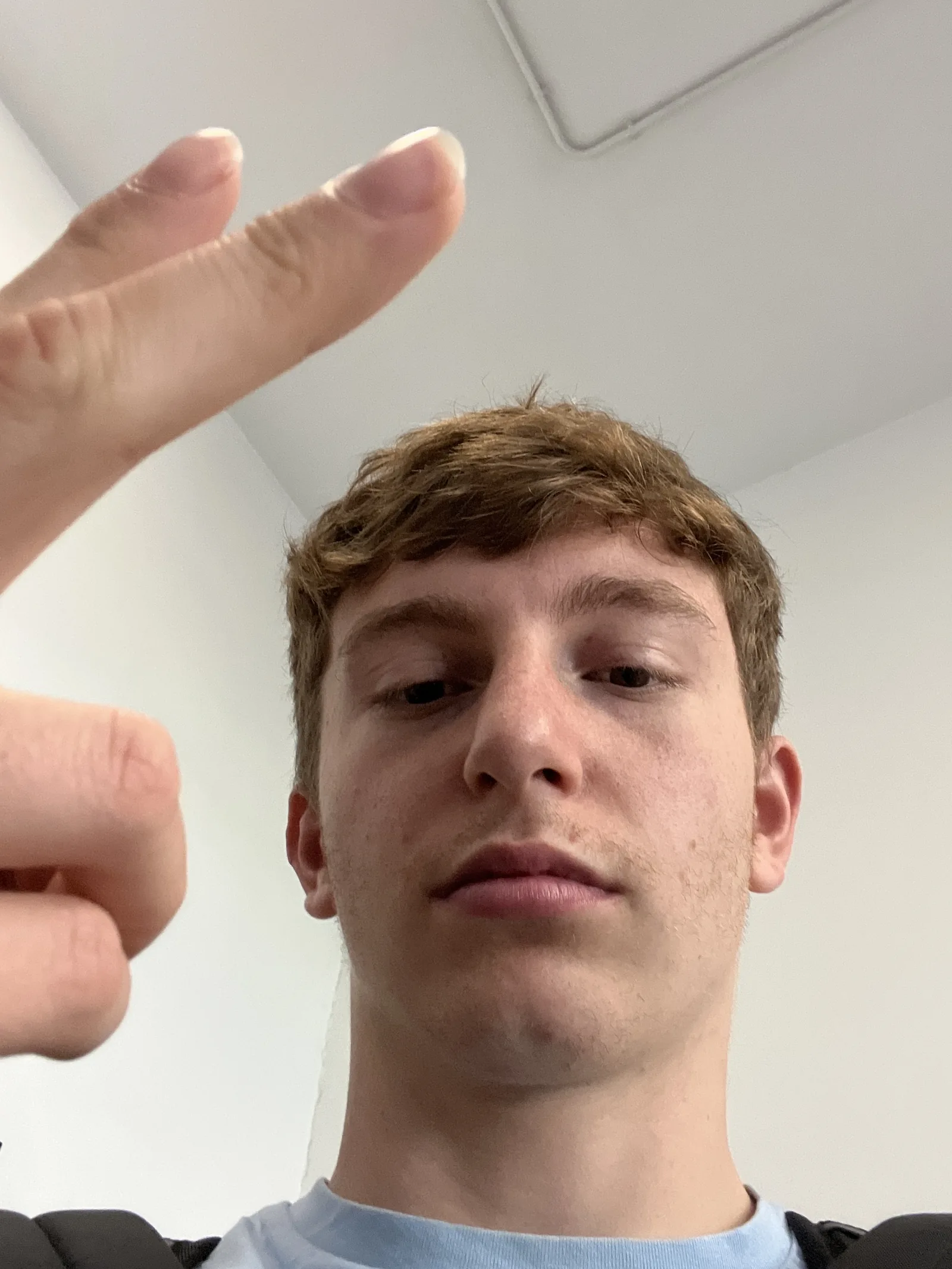 Foto de perfil del usuario